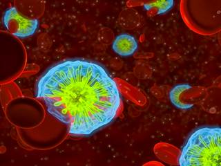 Plazomicin was also granted Breakthrough Therapy designation for the treatment of bloodstream infections caused by certain <i>Enterobacteriaceae</i>. Plazomicin was also granted Breakthrough Therapy designation for the treatment of bloodstream infections caused by certain <i>Enterobacteriaceae</i>.