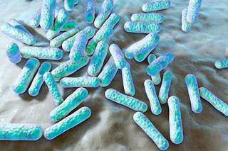 A2059 mutants showed high-level resistance to macrolides but low-level resistance to clindamycin. A2059 mutants showed high-level resistance to macrolides but low-level resistance to clindamycin.