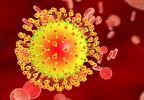 Hepatitis C Drug Effective Against Zika Virus in Preclinical Trial Hepatitis C Drug Effective Against Zika Virus in Preclinical Trial