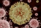 Flaviviruses Related to Zika May Cause Congenital Infection Flaviviruses Related to Zika May Cause Congenital Infection