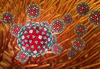 Adverse Birth Outcomes Up for Women With H1N1 Flu in ICU Adverse Birth Outcomes Up for Women With H1N1 Flu in ICU