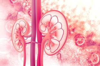 Concomitant use of tenofovir plus ritonavir-boosted HIV protease inhibitor does not seem to have an effect on eGFR. Concomitant use of tenofovir plus ritonavir-boosted HIV protease inhibitor does not seem to have an effect on eGFR.