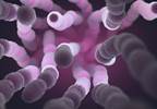 Increased Risk for Invasive Pneumococcal Disease With Opioid Use Increased Risk for Invasive Pneumococcal Disease With Opioid Use