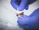 Annual Influenza Shots May Lower Risk of CV Death in Heart Failure Annual Influenza Shots May Lower Risk of CV Death in Heart Failure