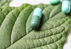 Multistate Outbreak of Salmonella Linked to Popular Herbal Drug Multistate Outbreak of Salmonella Linked to Popular Herbal Drug