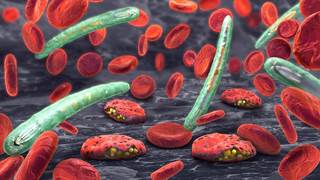 Artemether-lumefantrine was approved in 2009 by the Food and Drug Administration. Artemether-lumefantrine was approved in 2009 by the Food and Drug Administration.