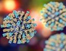 COPD Risk in Middle-Age: The 3-Way Interaction of Asthma, Smoking, and Measles COPD Risk in Middle-Age: The 3-Way Interaction of Asthma, Smoking, and Measles