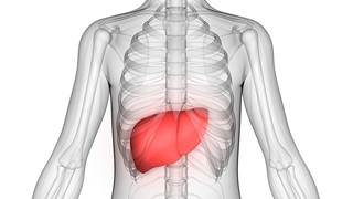 DAAs appear to be cost-effective when used prior to liver transplantation in patients with decompensated cirrhosis and MELD scores ≤20. DAAs appear to be cost-effective when used prior to liver transplantation in patients with decompensated cirrhosis and MELD scores ≤20.