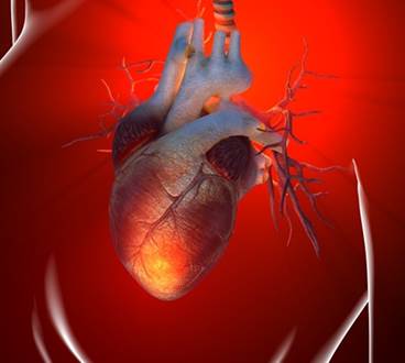 Pneumonia: Inflammation Linked to Cardiovascular Complications Pneumonia: Inflammation Linked to Cardiovascular Complications