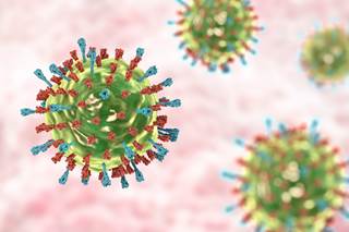 Evolution of mumps virus strains that escaped immune pressure would be expected to result in a higher proportion of cases among children. Evolution of mumps virus strains that escaped immune pressure would be expected to result in a higher proportion of cases among children.