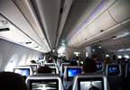 In-Flight Transmission of Respiratory Diseases Low In-Flight Transmission of Respiratory Diseases Low