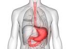 H pylori Treatment Tied to Lower Metachronous Gastric Cancer Risk H pylori Treatment Tied to Lower Metachronous Gastric Cancer Risk