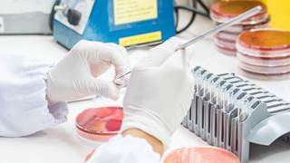 There needs to be regular reviews of vaccine progress to increase awareness of the "vaccine antimicrobial resistance value" in the realm of antimicrobial resistance efforts. There needs to be regular reviews of vaccine progress to increase awareness of the "vaccine antimicrobial resistance value" in the realm of antimicrobial resistance efforts.