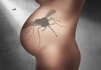 Rate of Birth Defects in Pregnant Women With Confirmed Zika Virus Infection Rate of Birth Defects in Pregnant Women With Confirmed Zika Virus Infection