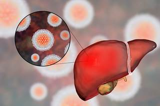 The researchers found that during 2013 to 2016, 1.7% and 1.0% of all U.S. adults were HCV antibody-positive (indicating past or current infection) and HCV RNA-positive. The researchers found that during 2013 to 2016, 1.7% and 1.0% of all U.S. adults were HCV antibody-positive (indicating past or current infection) and HCV RNA-positive.