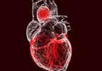 Fluoroquinolone Use May Increase Risk for Aortic Aneurysm and Dissection Fluoroquinolone Use May Increase Risk for Aortic Aneurysm and Dissection