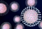 Zika Virus RNA Often Identified in Semen of Men With Symptomatic Infection Zika Virus RNA Often Identified in Semen of Men With Symptomatic Infection