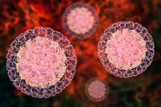 In the postvaccine period, children born odd calendar years had higher hazard of rotavirus hospitalization than even year births. In the postvaccine period, children born odd calendar years had higher hazard of rotavirus hospitalization than even year births.
