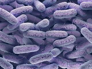 Plazomicin is a new aminoglycoside antibacterial. Plazomicin is a new aminoglycoside antibacterial.