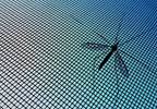 Despite Pyrethroid Resistance, Insecticidal Nets Protect Against Malaria Despite Pyrethroid Resistance, Insecticidal Nets Protect Against Malaria