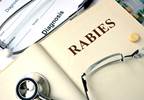 New Rabies Test Could Radically Change Testing and Treatment New Rabies Test Could Radically Change Testing and Treatment