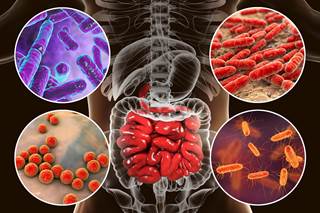 Bacterial diversity was lower in patients infected with HCV compared with healthy individuals. Bacterial diversity was lower in patients infected with HCV compared with healthy individuals.