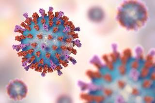 Type-2 and type-17 cytokines were central to the RSV immune response, while growth factors and chemokines were central to the HRV immune response. Type-2 and type-17 cytokines were central to the RSV immune response, while growth factors and chemokines were central to the HRV immune response.