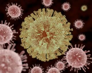 When a single serum sample was analyzed from each of 317 patients, median viral loads did not differ significantly according to age, sex, or disposition. When a single serum sample was analyzed from each of 317 patients, median viral loads did not differ significantly according to age, sex, or disposition.