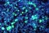 Parental Oral Secretions a Potential Source for Epstein-Barr Virus in Children Parental Oral Secretions a Potential Source for Epstein-Barr Virus in Children
