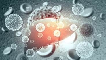 Web-Based Lifestyle Program Beneficial for Liver Disease Patients Web-Based Lifestyle Program Beneficial for Liver Disease Patients