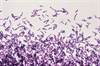 Should Metronidazole Be Recommended for Mild Clostridium difficile Infections? Should Metronidazole Be Recommended for Mild Clostridium difficile Infections?