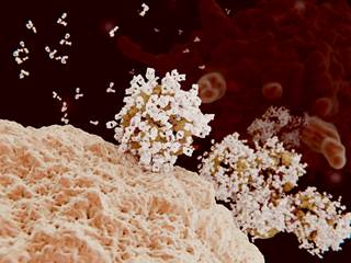 Correcting baseline vitamin D deficiency may improve CD4 recovery in HIV-positive patients initiating cART. Correcting baseline vitamin D deficiency may improve CD4 recovery in HIV-positive patients initiating cART.