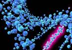 Putting Genetics to the Test: Insurers vs Preexisting Conditions in the Age of Trump Putting Genetics to the Test: Insurers vs Preexisting Conditions in the Age of Trump