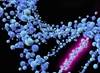 Putting Genetics to the Test: Insurers vs Preexisting Conditions in the Age of Trump Putting Genetics to the Test: Insurers vs Preexisting Conditions in the Age of Trump