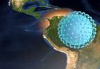 Clinicians Warn That Zika Virus May Still Be an Area of Concern for Travelers Clinicians Warn That Zika Virus May Still Be an Area of Concern for Travelers