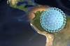 Clinicians Warn That Zika Virus May Still Be an Area of Concern for Travelers Clinicians Warn That Zika Virus May Still Be an Area of Concern for Travelers