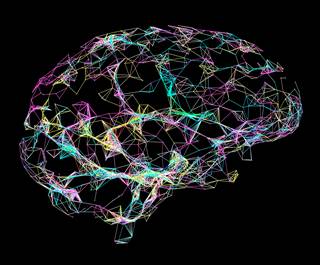 Investigators find alcohol-induced BBB damage may increase the risk for neuropathological consequences for individuals with chronic HCV infection. Investigators find alcohol-induced BBB damage may increase the risk for neuropathological consequences for individuals with chronic HCV infection.