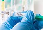 Two-Dose Rabies PEP Vaccine as Effective as Four-Dose Schedule Two-Dose Rabies PEP Vaccine as Effective as Four-Dose Schedule