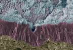 Tobramycin Efficacy Decreased by Human Airway Mucus Tobramycin Efficacy Decreased by Human Airway Mucus