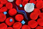 CDC Advises That Benznidazole Now Only Available Through Drug Company CDC Advises That Benznidazole Now Only Available Through Drug Company