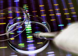 Genetic variant testing can identify influenza vaccine response, susceptibility to influenza infection, and infection severity among individuals. Genetic variant testing can identify influenza vaccine response, susceptibility to influenza infection, and infection severity among individuals.