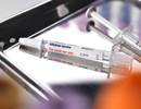Novel Intranasal Influenza Vaccine Shows Tolerability, Safety, and High Immune Response Novel Intranasal Influenza Vaccine Shows Tolerability, Safety, and High Immune Response