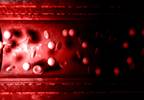 Low-Dose Methotrexate: No Effect on Endothelial Function in Patients Treated for HIV Low-Dose Methotrexate: No Effect on Endothelial Function in Patients Treated for HIV
