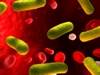 Piperacillin-Tazobactam for ESBL Bloodstream Infection, Insights From the MERINO Trial Piperacillin-Tazobactam for ESBL Bloodstream Infection, Insights From the MERINO Trial