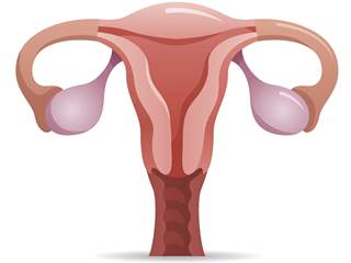 Drug concentration of ARTs via intravaginal ring delivery exceeded concentrations achieved by highly protective oral dosing, suggesting that efficacy for vaginal HIV PrEP is achievable. Drug concentration of ARTs via intravaginal ring delivery exceeded concentrations achieved by highly protective oral dosing, suggesting that efficacy for vaginal HIV PrEP is achievable.