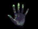 Hands Are Vehicles for Transmission of Streptococcus pneumoniae Hands Are Vehicles for Transmission of Streptococcus pneumoniae
