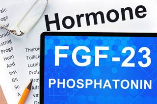 Fibroblast growth factor-23 was associated with a 2.72-fold risk for frailty among blacks. Fibroblast growth factor-23 was associated with a 2.72-fold risk for frailty among blacks.
